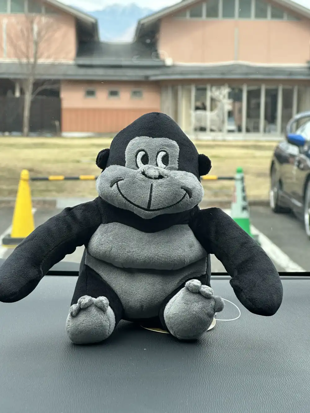 ゴリラぬいぐるみ(車内)