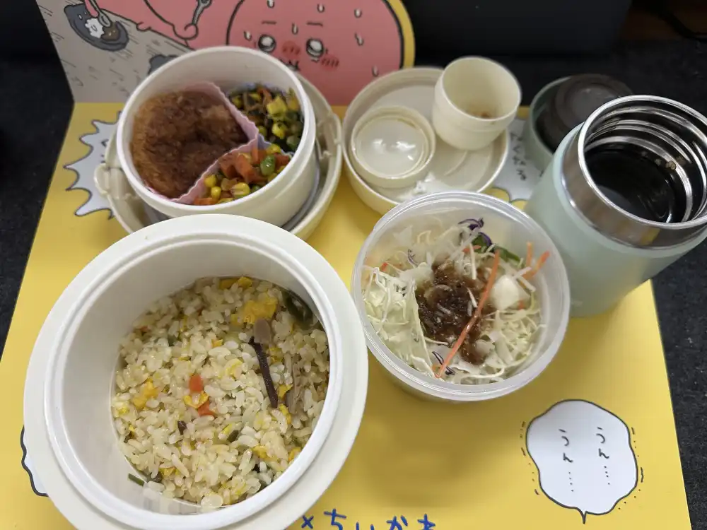 お弁当 混ぜご飯とサラダとおかず