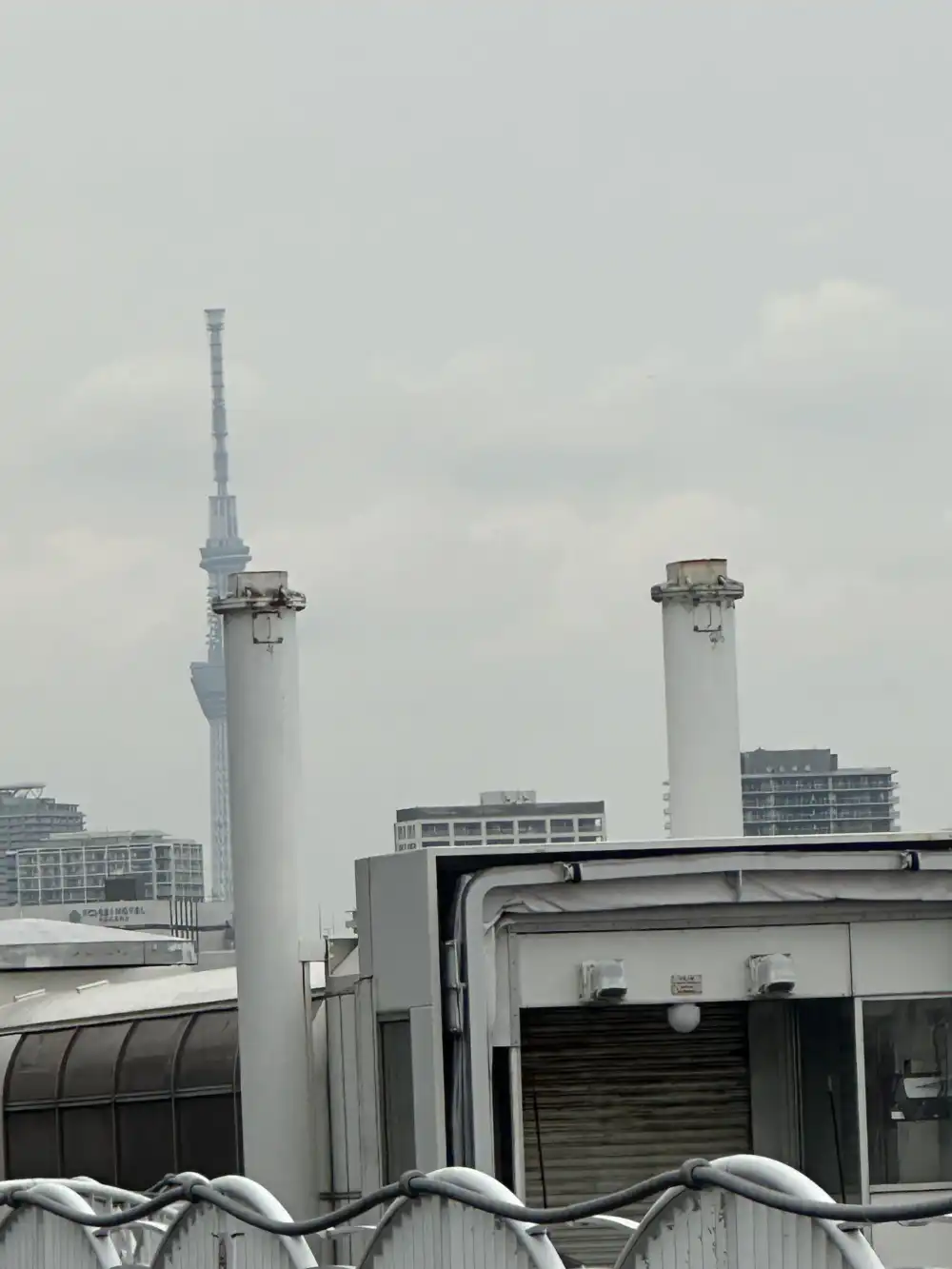 遠くに見えるスカイツリー