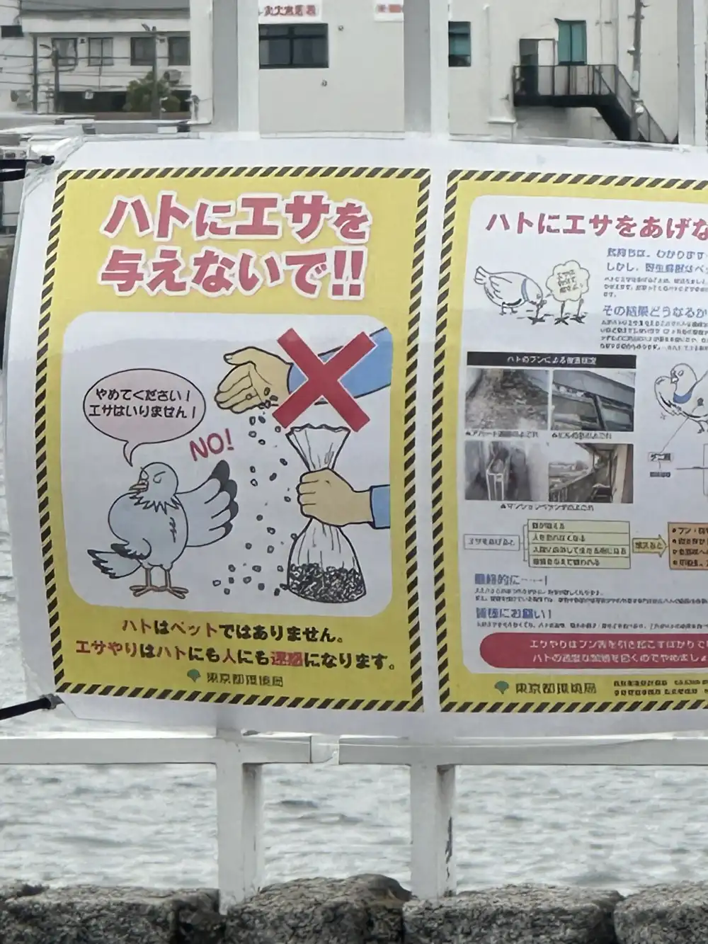 「ハトにエサを与えないで!!」の看板