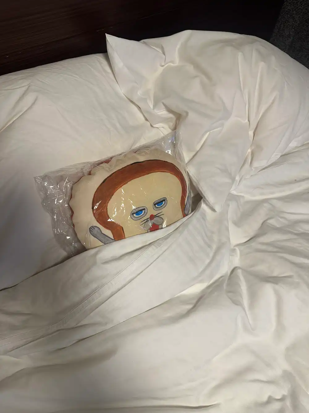 ベッドのパンどろぼう