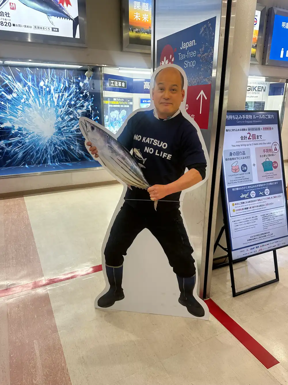 NO KATSUO NO LIFE 看板