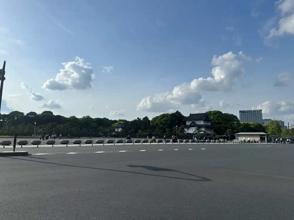 皇居前の景色