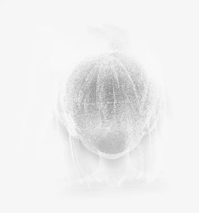 Face-crop output, back. Noticeably sparser, the back of the head is squashed