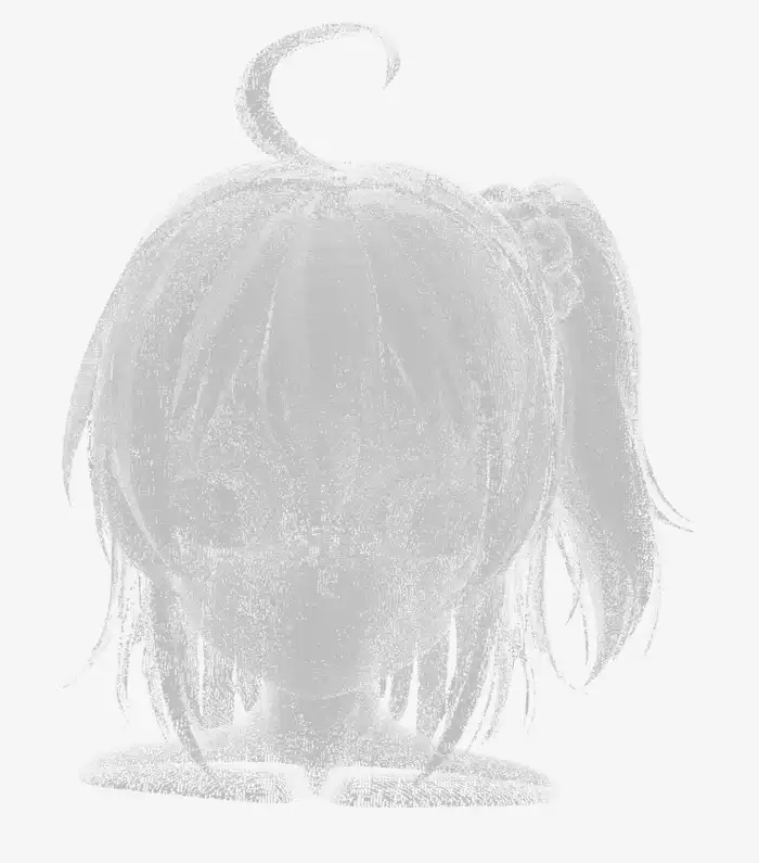 Face-crop output, front