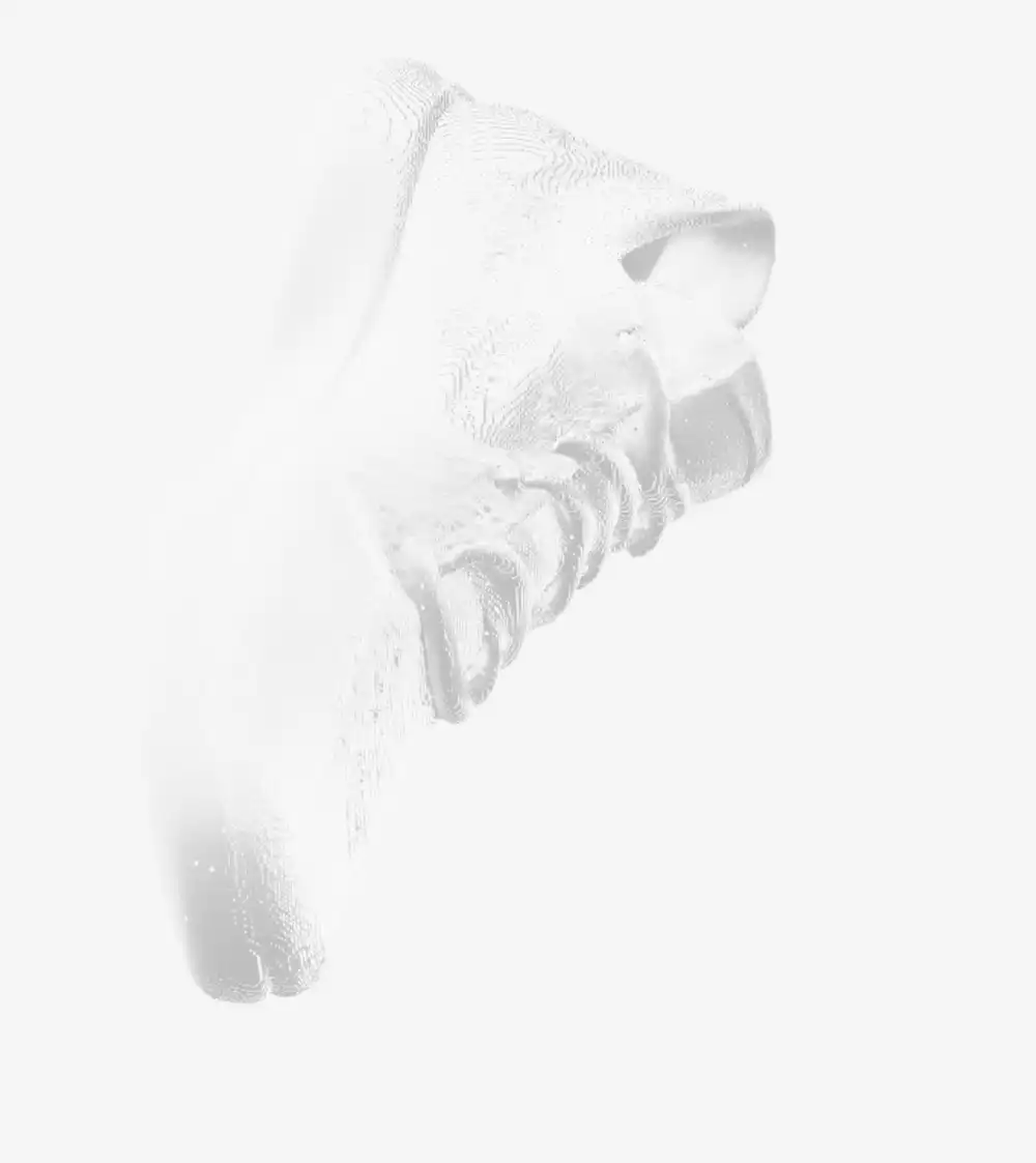 Shoe vertex-color output, clean white mesh with the shape visible