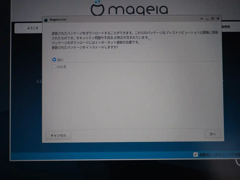 "You can download updated packages. These packages were updated after the distribution was released. They include security and bugfix updates." Yes/No, Yes selected