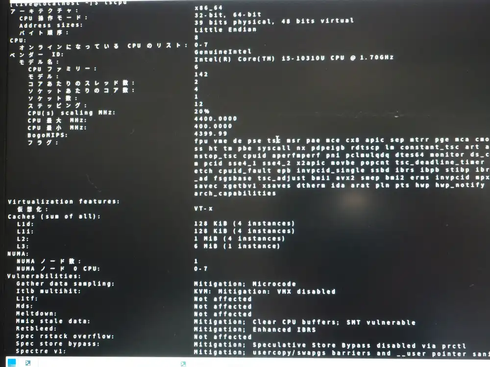 lscpu output with Intel Core i5-10310U details