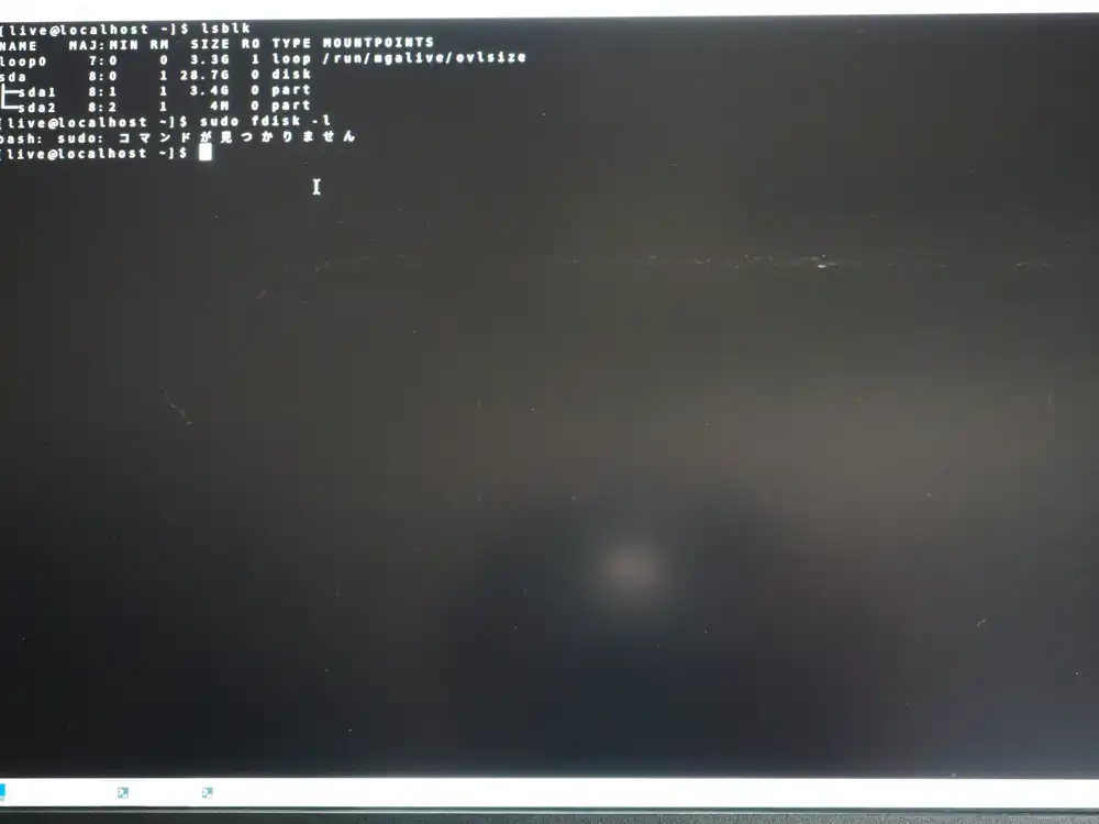 lsblk output. Only sda (USB) shows up, no internal SSD. sudo says "command not found"