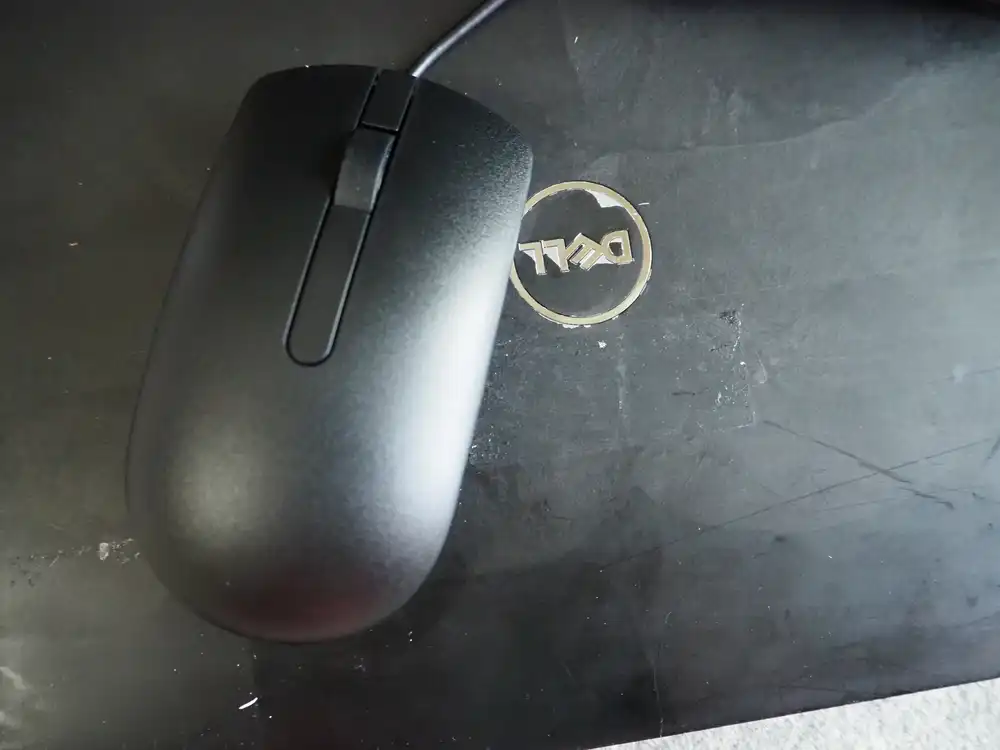 The mouse itself