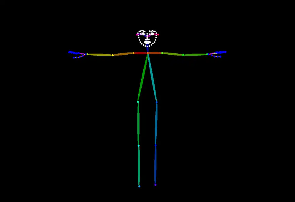 両腕を真横に広げたT-poseから抽出したOpenPose骨格