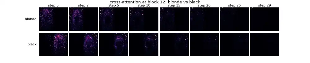 E1 Block 12でのblondeとblackの空間マップをstep 0〜29で並べたもの
